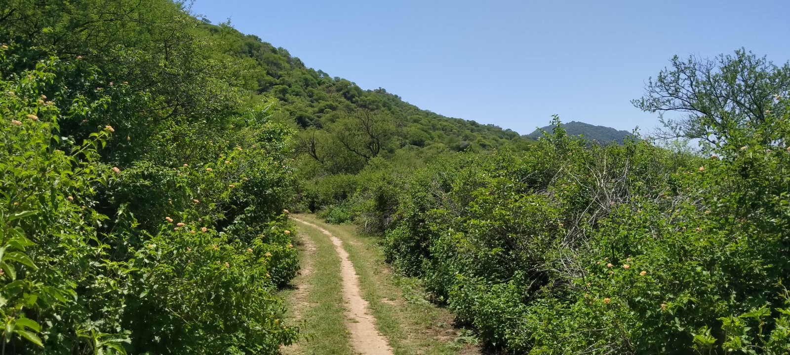 Travel Photo